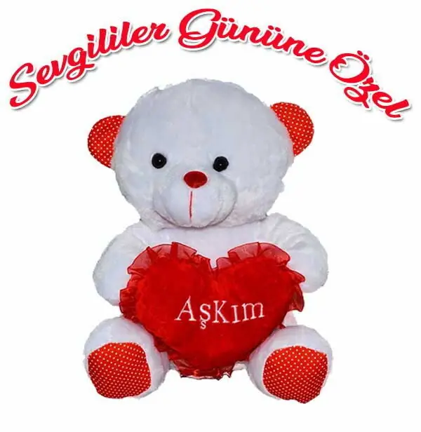 Peluş Ayıcık