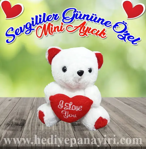 Mini Peluş Ayıcık